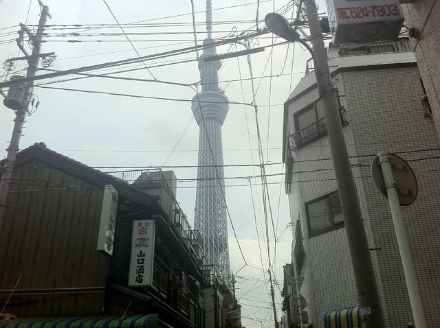 f:id:color-hiyoko:20200310182748j:plain