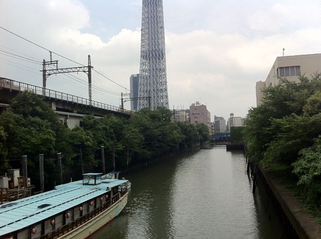 f:id:color-hiyoko:20200310182816j:plain