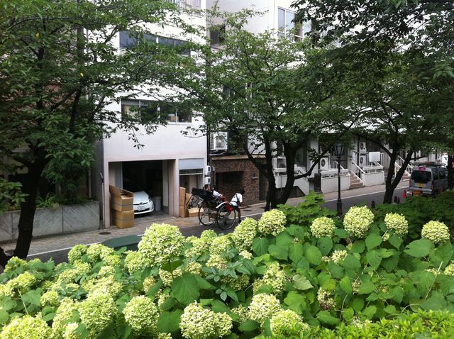 f:id:color-hiyoko:20200310182833j:plain