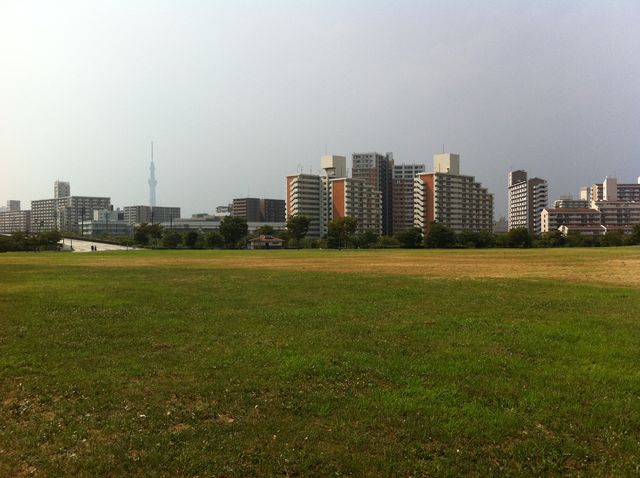 f:id:color-hiyoko:20200310183101j:plain