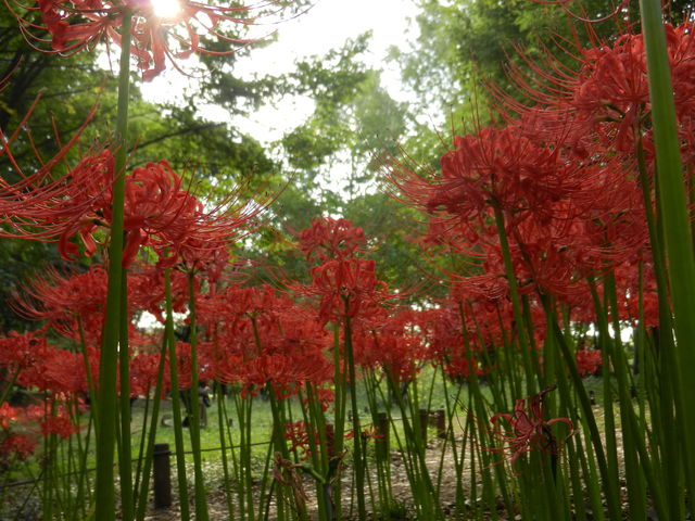 f:id:color-hiyoko:20200310183742j:plain