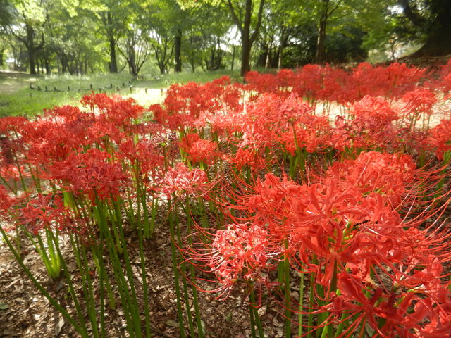 f:id:color-hiyoko:20200310183750j:plain