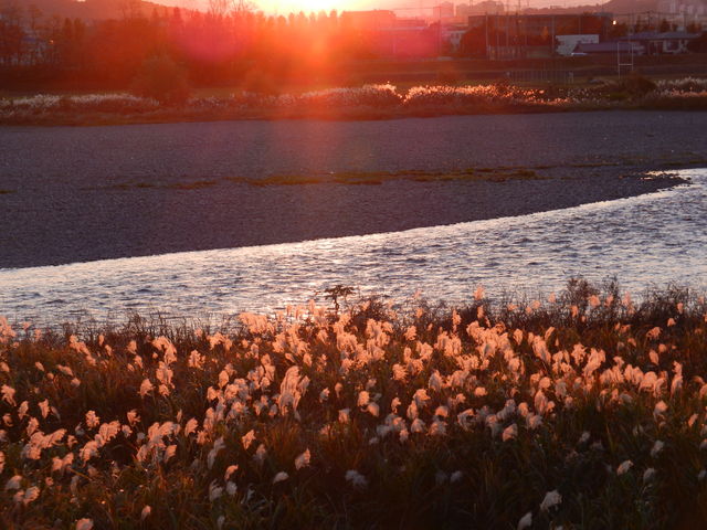 f:id:color-hiyoko:20200310183811j:plain
