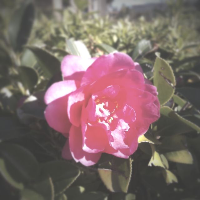 f:id:color-hiyoko:20200310183859j:plain