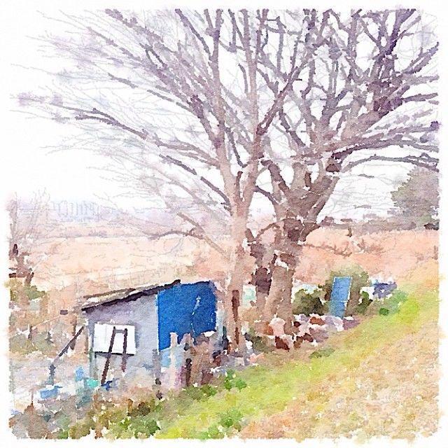 f:id:color-hiyoko:20200311134652j:plain f:id:color-hiyoko:20200311134652j:plain
