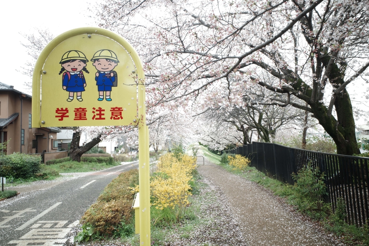 f:id:color-hiyoko:20200401113253j:plain