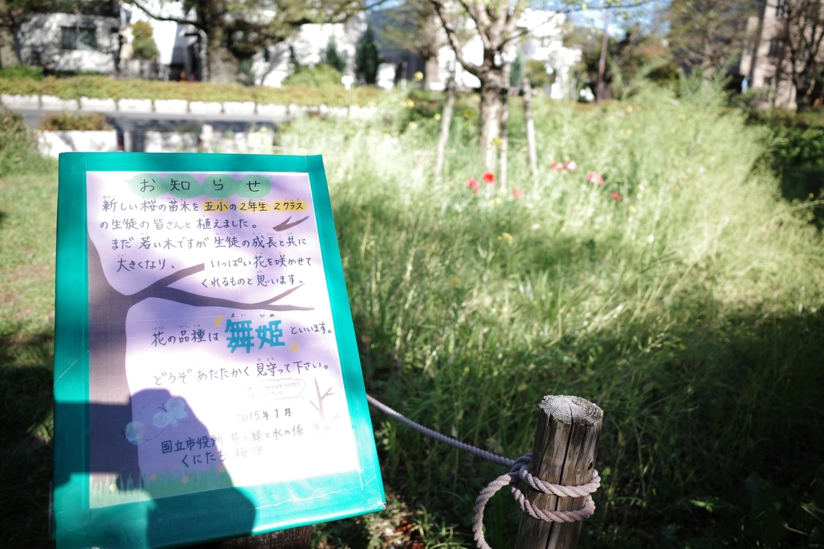 f:id:color-hiyoko:20200414231503j:plain