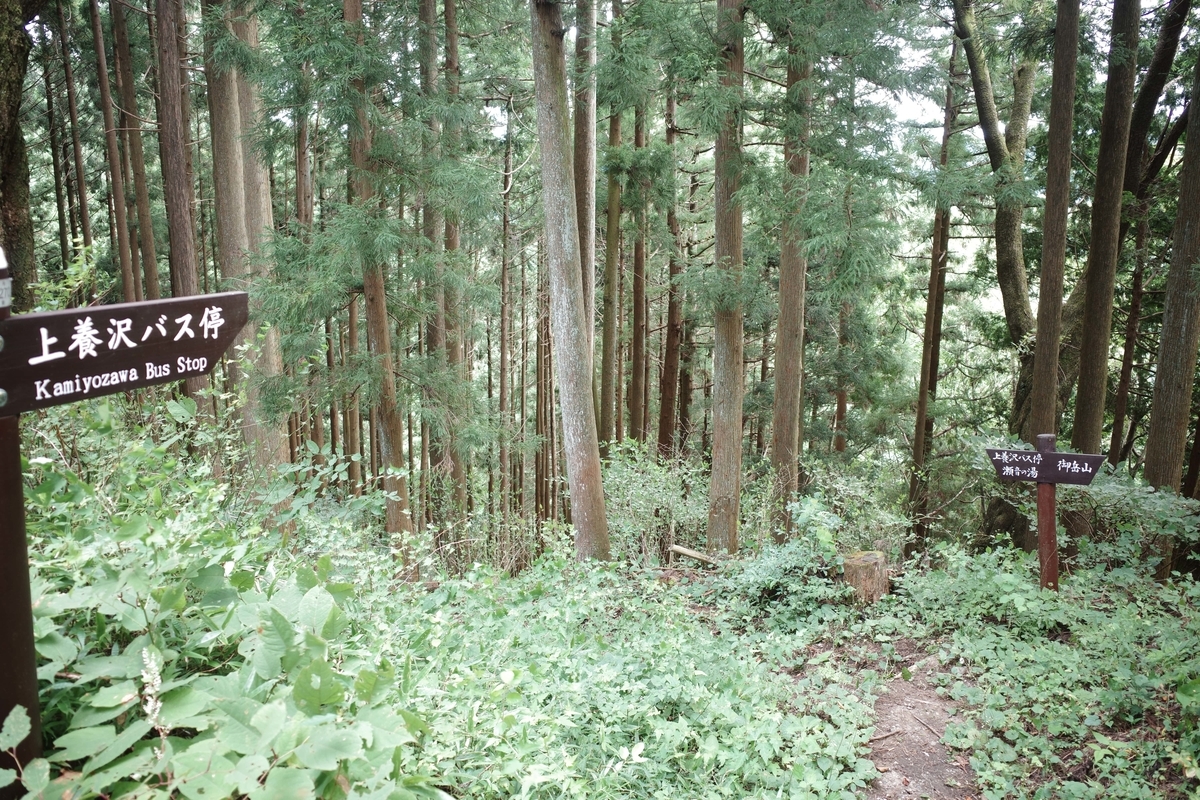 f:id:color-hiyoko:20200912080250j:plain f:id:color-hiyoko:20200912080250j:plain