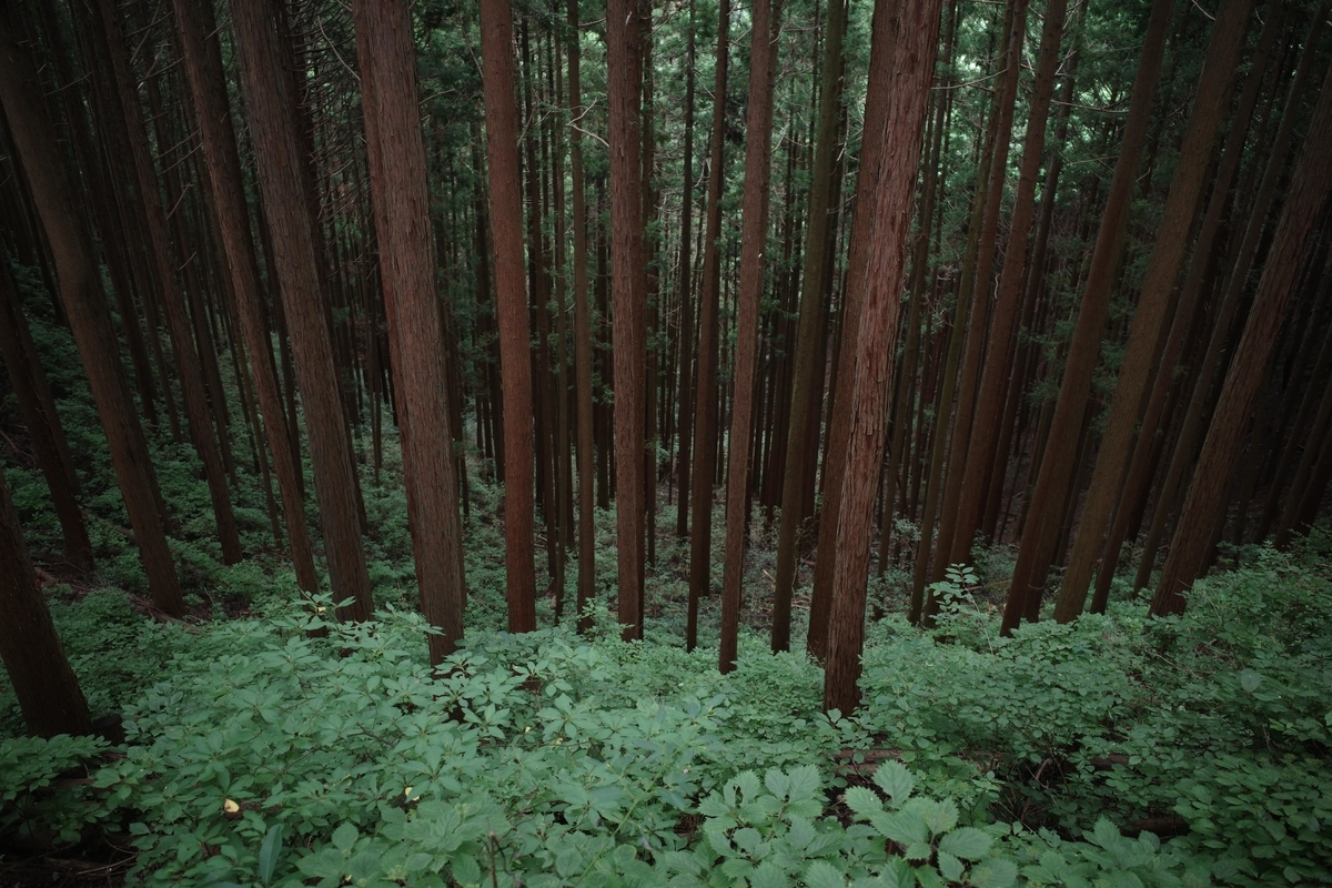 f:id:color-hiyoko:20200912080402j:plain f:id:color-hiyoko:20200912080402j:plain