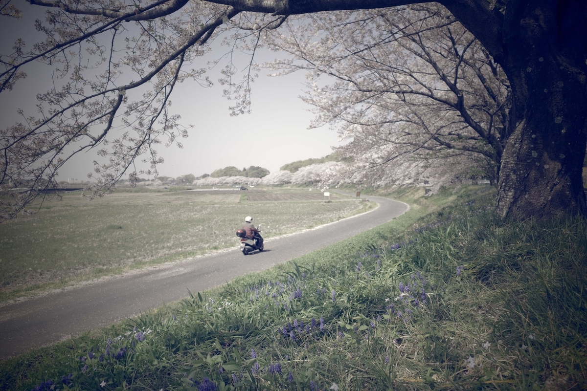 f:id:color-hiyoko:20210331220005j:plain