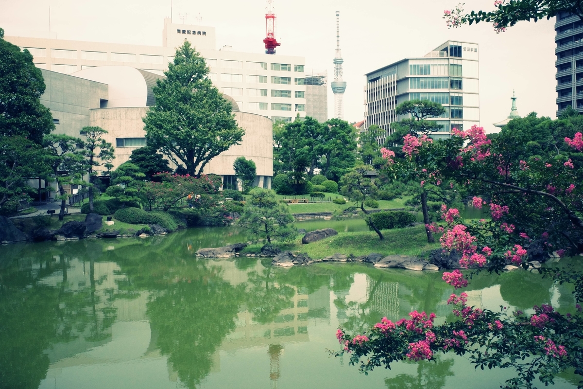 旧安田庭園の亀 A Day In The Life