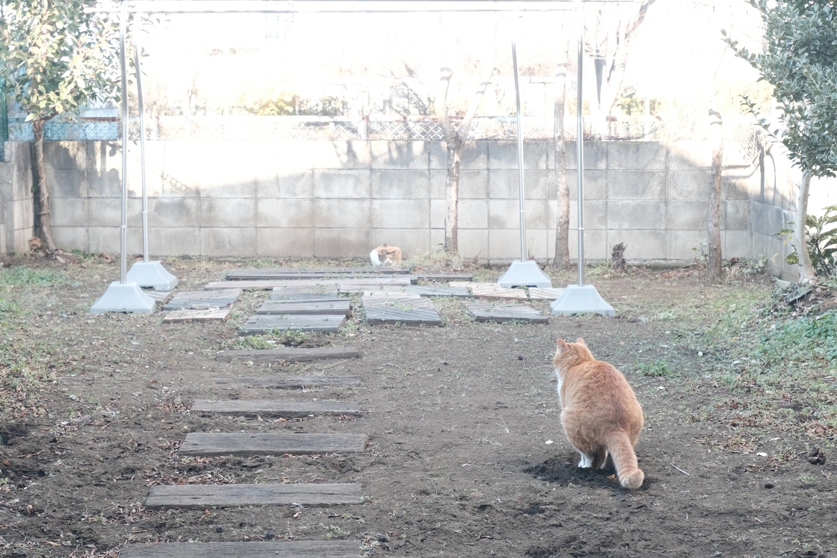 f:id:color-hiyoko:20220102200125j:plain