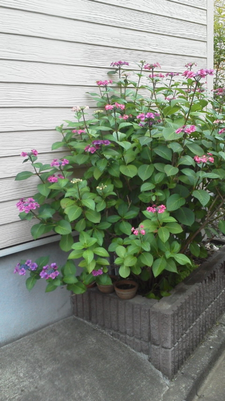 f:id:color-king:20130609165514j:image f:id:color-king:20130609165514j:image