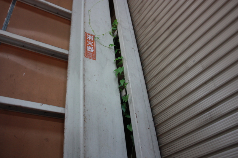 f:id:color-king:20130801170618j:image