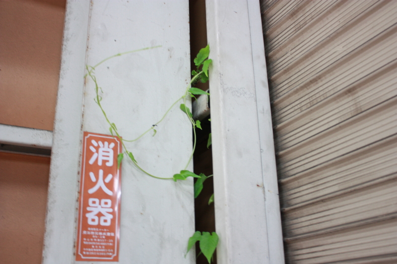 f:id:color-king:20130801170626j:image