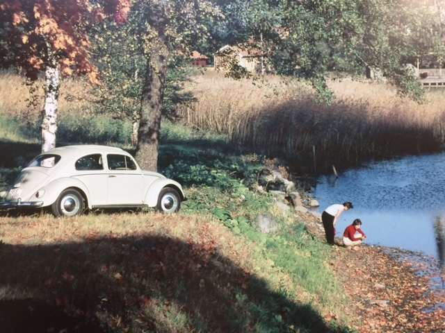 f:id:color-king:20161101181650j:image f:id:color-king:20161101181650j:image