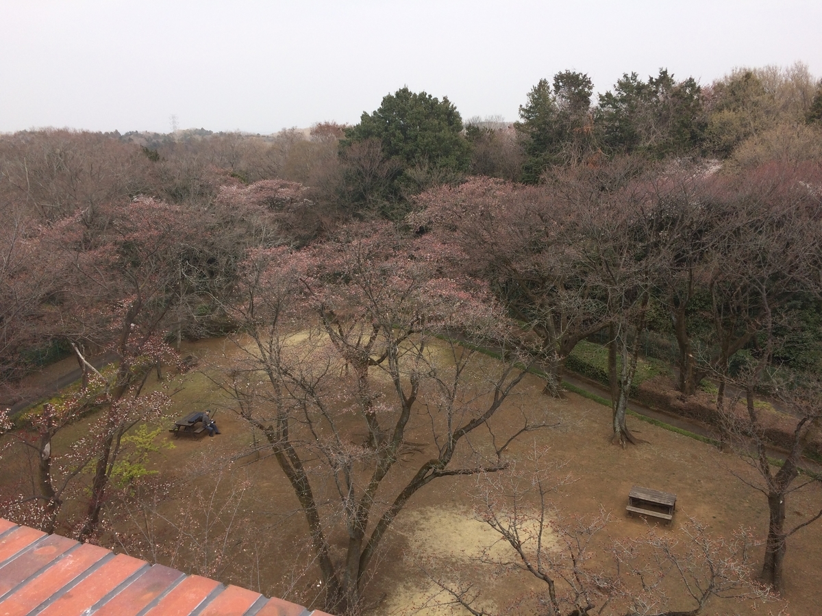f:id:color-king:20190330135102j:plain