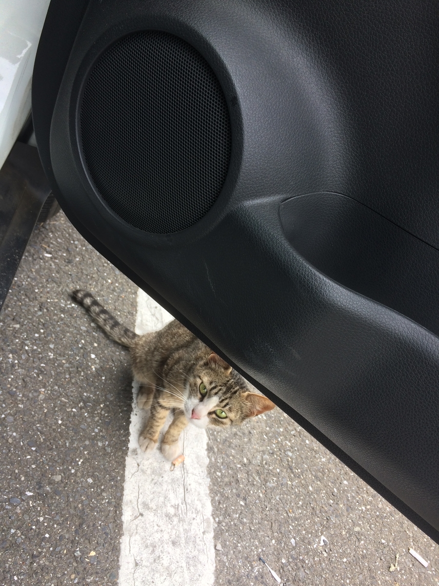 f:id:color-king:20190627090108j:plain
