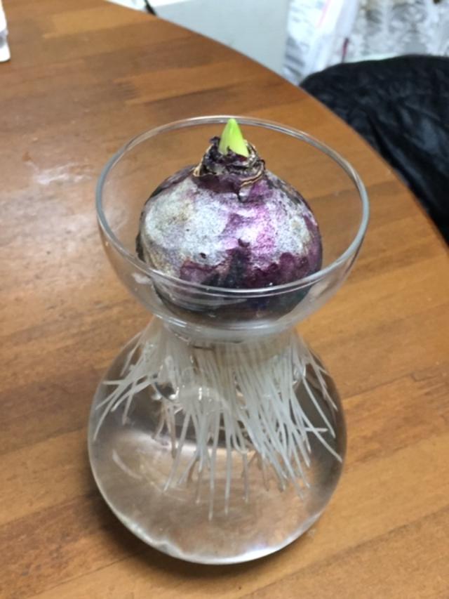 f:id:color-king:20191120204555j:plain
