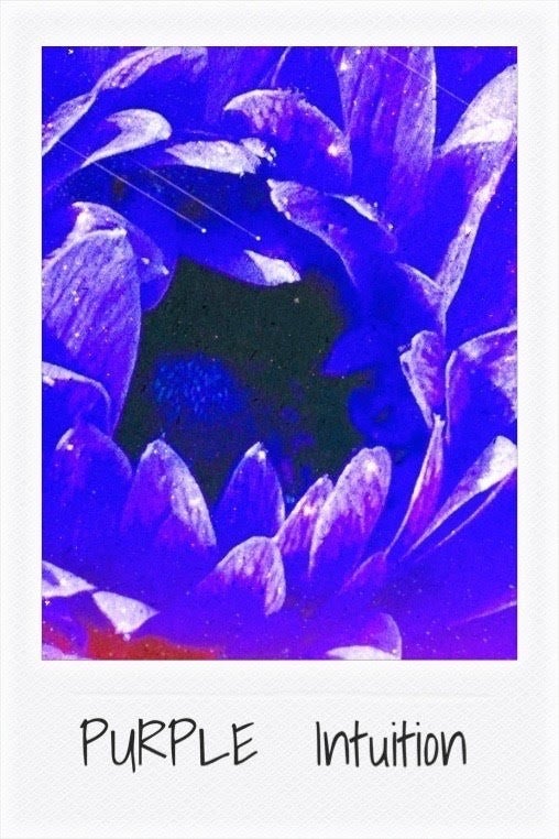 サキリスの感性記録帖 by SAKI｜紫の色彩心理,創作写真カラーカード