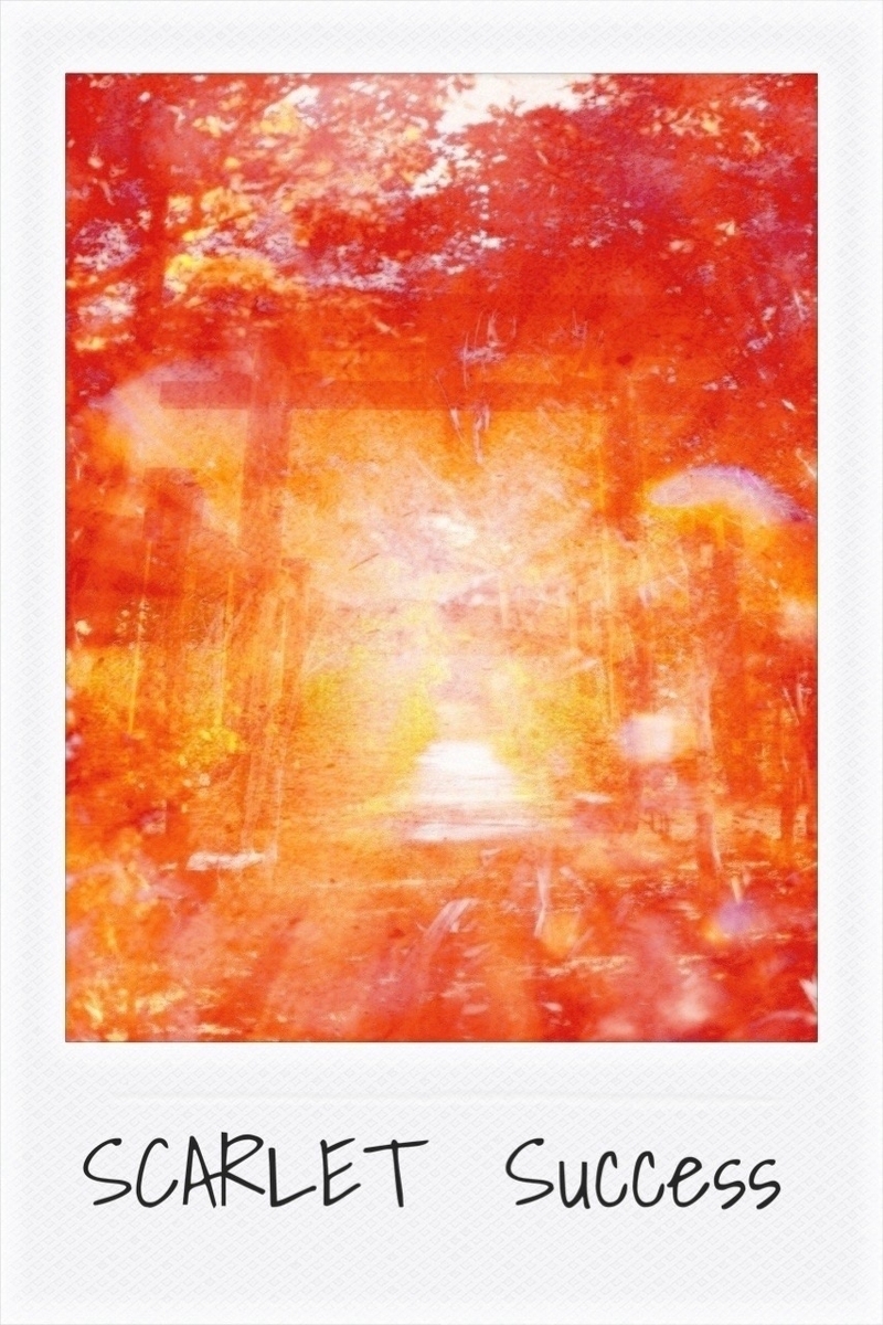 サキリスの感性記録帖 by SAKI