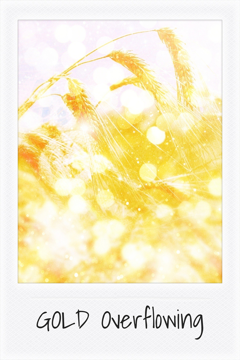 サキリスの感性記録帖 by SAKI