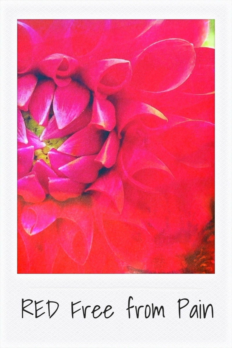 サキリスの感性記録帖 by SAKI