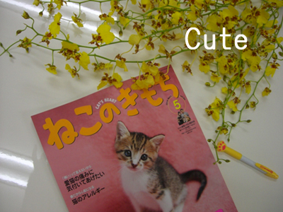 f:id:colorbless:20100410081136j:image