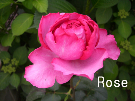 f:id:colorbless:20100505175801j:image f:id:colorbless:20100505175801j:image