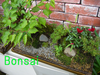 f:id:colorbless:20100630152220j:image