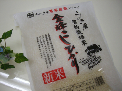 f:id:colorbless:20100806185825j:image