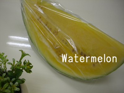 f:id:colorbless:20100806190316j:image