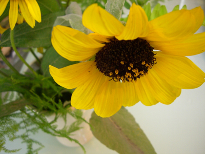 f:id:colorbless:20100814160239j:image