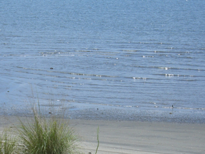 f:id:colorbless:20100825114820j:image f:id:colorbless:20100825114820j:image