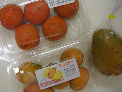f:id:colorbless:20100906210409j:image