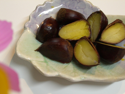 f:id:colorbless:20100919222556j:image f:id:colorbless:20100919222556j:image