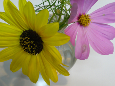 f:id:colorbless:20100919222928j:image f:id:colorbless:20100919222928j:image