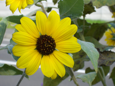 f:id:colorbless:20100925153143j:image f:id:colorbless:20100925153143j:image