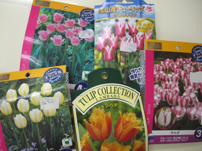 f:id:colorbless:20101115131044j:image f:id:colorbless:20101115131044j:image