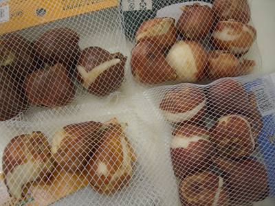 f:id:colorbless:20101115131156j:image f:id:colorbless:20101115131156j:image