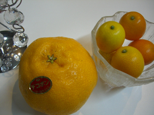 f:id:colorbless:20101201214411j:image