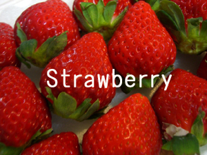 f:id:colorbless:20101217221025j:image
