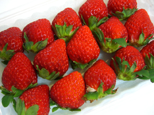 f:id:colorbless:20101217221051j:image