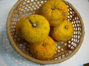 f:id:colorbless:20101222131644j:image
