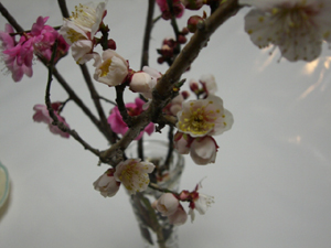 f:id:colorbless:20110213171711j:image f:id:colorbless:20110213171711j:image