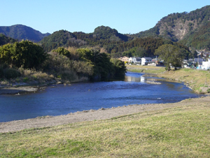 f:id:colorbless:20110302161159j:image