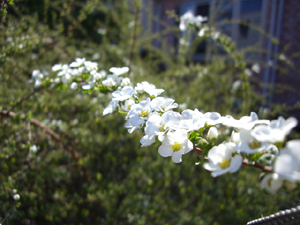 f:id:colorbless:20110304151626j:image