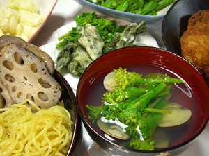 f:id:colorbless:20110304205628j:image