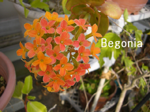 f:id:colorbless:20110309154519j:image f:id:colorbless:20110309154519j:image