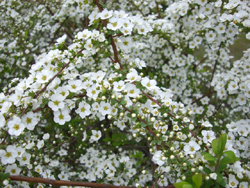 f:id:colorbless:20110314132912j:image